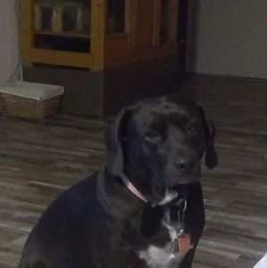 Meet your Posher, Natasha